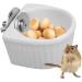 Detachable Small Animals Bowl - Ceramic Feeder for Rabbit, Parrot, Hamster - White S - Buy Online on GoSupps.com