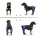 Adjustable Knee Brace for Dogs Pet Hind Legs Protector for CCL Injury Patella Luxation Arthritis Joint Pain Dog Leg Braces for Back Leg|Blue (M) - Buy Online on GoSupps.com