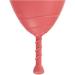 Rainbow Cup Menstruation Cups | Medical Silicone | Made in Italy | Size 2 Semitonica & Ciclamini | 2 Units Pack - Buy Online on GoSupps.com