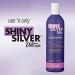 Shiny Silver Ultra Color-Enhancing Conditioner - Restores Brightness to White, Grey, Blonde-Tinted Hair - 12 Fl. Oz - Buy Online on GoSupps.com