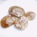 Crystal Rough 1pc raw Natural Rough Uncut Agate Quartz Crystal Gemstone for Astrology - Buy Online on GoSupps.com