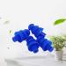 Ear Plugs for Sleep Reusable Noise Cancelling Earplugs for Sleeping 2 Pairs of Blue Silicone Earplugs Noise Reduction Ear Plugs with Storage Box (Color : Blue Size : 10.9 * 1.85MM(2pairs)) 10.9*1.85MM(2pairs) Blue - Buy Online on GoSupps.com