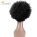 Shop Becus Short Afro Wigs for Black Women - Brazilian Real Hair Crazy Curly Afro-Puff Styles - Buy Online on GoSupps.com