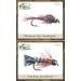 Guide's TOP Assortment - Nymphs (31 Flies) | Best Selling Flies for Fishing - Buy Online on GoSupps.com