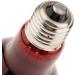 Tenlacum 40/50/60/75/100W Infrared Basking Spot Lamp Single Max Heat Reptile Red Bulb Light (40W) - Buy Online on GoSupps.com