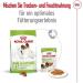 ROYAL CANIN X-Small Adult | Pack of 4 | 4 x 12 x 85 g | Wet Food for Adult and Very Small Dogs | From 10 Months | with Chunks in Sauce | in Sachet - Buy Online on GoSupps.com