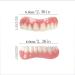 MMWMJWMB Cosmetic Fake Teeth Temporary Tooth for Snap Covering Missing Teeth Natural Shade Fit at Home Do it Yourself Smile Makeover-Default - Buy Online on GoSupps.com
