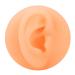 Silicone Artificial Ear Model Ear Acupuncture Practice Model Reusable Simulation Ear Display Model False Ear Model(Right Ear)