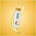 Argan Oil Shampoo HAIR DAMAGED 250 ml by Vidal - Buy Online on GoSupps.com