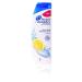 Head & Shoulders Anti Dandruff Shampoo Hydrating Citrus Fresh 13.5 Oz. (2 Pack 400ml)