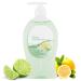 Citrus Scent Liquid Hand Soap for Everyday Hand Washing Smooth Hand Wash for Home Kitchen or Bathroom Use Pump Bottle 11.25 fl oz