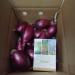 9 kg - Red Onion - Calabria - Digital Garden - Buy Online on GoSupps.com
