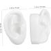 Mobestech Human Ear Model for Earring Display White Silicone Ear Model Clear Structure for Practice - Buy Online on GoSupps.com