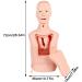 Jingedd Intubation Gastric Tube Model - Advanced Nasogastric & Tracheostomy Training Manikin for Nurses & Medical Students | International Shipping Available - Buy Online on GoSupps.com