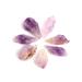 Natural Crystal Rough 10g/Pack Natural Amethyst Backbone Purple ChipsRough Gem MineralsStones (Size : 10g) (Size : 20g)