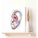 Ear Watercolor Print | Human Ear Art for Living Room Decor | Audiologist Gift | Audiology Poster | Medical Science Art | Ready to Hang 12x16 in - Buy Online on GoSupps.com