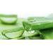 Holika Holika Aloe 99% Soothing Gel with 99% Aloe Leaf Juice from the Pristine Island of Jeju (55ml x 3) - Buy Online on GoSupps.com