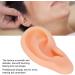 Professional Simulated Ear Model for Acupuncture & Massage Practice - Right Ear Demo Tool - Buy Online on GoSupps.com