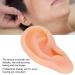 Simulated Silicone Acupuncture Ear Model for Explanation - Professional Soft and Elaborate (Right) - Buy Online on GoSupps.com