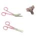 Nursing scissors set and pen holder with engraving for nurse (zebra pink)
