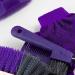 PFIFF 100576 Children's Grooming Box - 6-Piece Horse Care Kit Purple | International Shipping Available - Buy Online on GoSupps.com