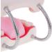 6x Magnification Dental Care Model - Mouth Teeth & Tongue with Toothbrush | Enhance Dental Education & Hygiene - Buy Online on GoSupps.com