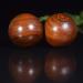 Buy Baoding Balls - Stress Relief & Hand Exercise | Rosewood Massage Ball Set for Health & Meditation - Buy Online on GoSupps.com