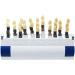 Dental Shade Guide - 16/29 Colors Teeth Bleaching Tool | Teeth Whitening Plate International Shipping - Buy Online on GoSupps.com