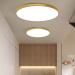 Mengjay 40W Dimmable LED Ceiling Lamp - Ultra Thin Round Panel Light for Living Room Kitchen Kids Room Bathroom & Balcony | 3000K-6000K Gold Finish - Buy Online on GoSupps.com