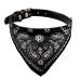 Cat collar with bandana in paisley look and buckle in size S: 20-26cm neck circumference BLACK