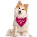 Dog Hill Towel - Premium Triangular Cloth for All Dog Sizes | Pregnancy Announcement & Accessory | Pink & Deep Pink - Buy Online on GoSupps.com