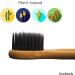 Charcoal Bamboo Electric Toothbrush Heads - Eco-Friendly & Biodegradable | Compatible with Sonicare - Buy Online on GoSupps.com