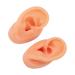 Silicone Human Ear Model for IEM Earphones Display - Professional Lecturing Display - Buy Online on GoSupps.com