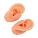 Ear Model Simulated Long Lasting Ear Display Model for Suppliers for Hospitals