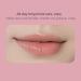 Lip Color Palette - Matte Effect Lipstick Makeup | Universal Shades Lightweight Gloss Soft Texture Ideal for Adult Women and Teenagers - Buy Online on GoSupps.com