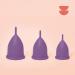 Divine Menstrual Cup Purple (M) - Soft & Eco-Friendly for Comfort | Buy Internationally - Buy Online on GoSupps.com