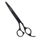 Equinox International Professional Razor from the Edge Series cutting edge in hairdressing quality 16.5 cm total length with fine adjustment by tensioning screw made of Japanese stainless steel black