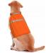 High Visibility Reflective Dog Vest for Small, Medium, Large Dogs - Orange - Medium Size - Buy Online on GoSupps.com