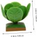 Zerodeko 4pcs Cabbage Model Office Ornament Tiny Foods Miniature Mini Vegetables for Dolls Plants 1 12 Scale Miniatures Food Kitchen Model Toys Child Ornaments Desktop Plastic Green 6.5X5.5X5.5CM - Buy Online on GoSupps.com