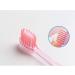 Zumaha Compact Toothbrushes - Ergonomic Travel Toothbrush Set for Men & Women | 10 Medium-Hard Bristle Brush Heads - Buy Online on GoSupps.com