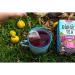 Dorset Tea Foraged Fruits Herbal Tea - 80 Fruit Tea Bags - Blackberry, Strawberry & Raspberry - Buy Online on GoSupps.com