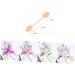 Hemoton 30pcs Eyeshadow Brush Eye Shadow Applicator Brush Eyeshadow - Buy Online on GoSupps.com