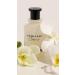 Michael Malul Vanilla + Cr me Eau de Parfum for Women - 100ml | 3.4oz 3.4 Fl Oz (Pack of 1) - Buy Online on GoSupps.com