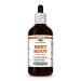 Beet Root Alcohol-Free Extract Glycerite for Digestive Wellness Supports Brain Function Boosts Balanced Energy Aids Nutrient Breakdown Encourages Natural Detoxification - 4 fl.oz 4 Fl Oz (Pack of 1)