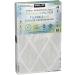 Buy Kirkland Signature High-Performance Oven Filter - 2200 Microparticles Allergen Reduction 4 Pack (16x25x1) 90 Days Supply Dual Airflow Technology International Shipping Available - Buy Online on GoSupps.com