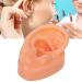 Silicone Right Ear Model for Hearing Aids | Flexible & Soft Simulation Display Ear - Buy Online on GoSupps.com
