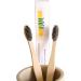 Soft Bamboo Toothbrush Set - Charcoal Infused Bristles | Eco-Friendly Pack of 2 - International Shipping Available - Buy Online on GoSupps.com