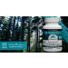 Dr. Cass Ingram Wild Pine Needle Capsules with Spruce Black Cumin & Oregano - Immune Support & Respiratory Wellness Supplement - 90 Count - Buy Online on GoSupps.com