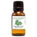 Patchouli Essential Oil 1/2 fl oz (15 ml) Amber Glass Bottle w/Euro Dropper 100% Pure Essential Oil - GreenHealth
