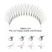 Premade 3D Eyelash Extensions - Handmade Russian Volume Fans | Soft Mink Individual Eyelashes 8-14mm - International Supplier - Buy Online on GoSupps.com
